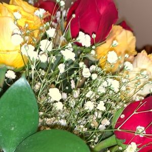 Meet your Posher, Jajacqueline hernandez